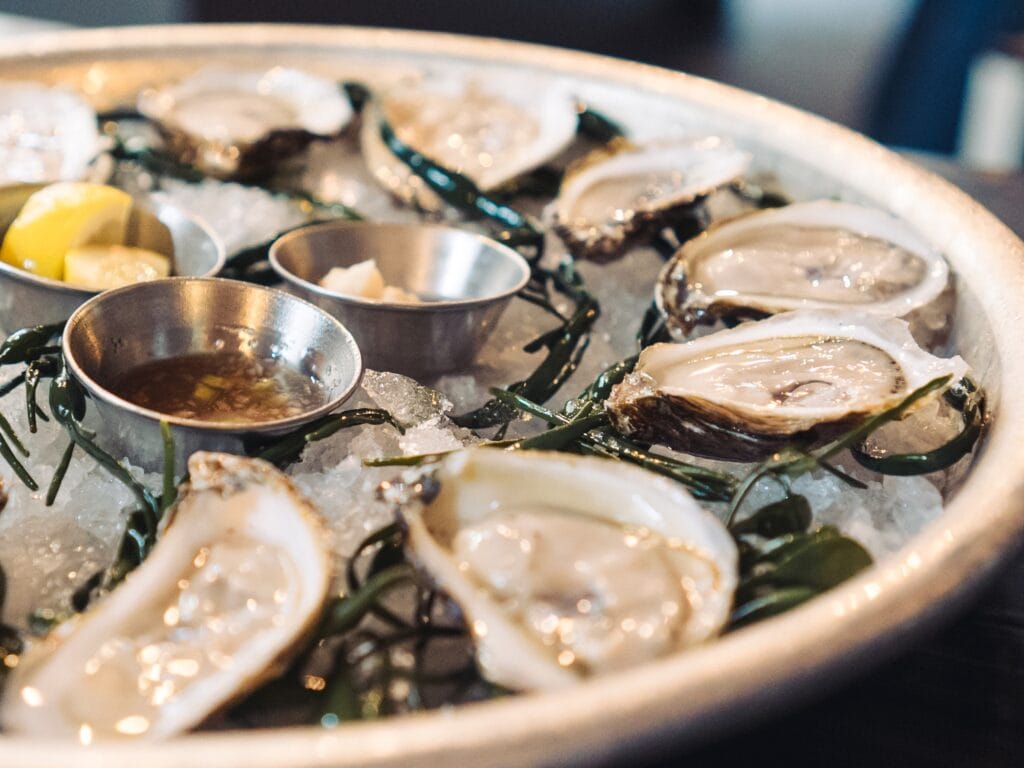 fresh oysters at The Shuckery petaluma