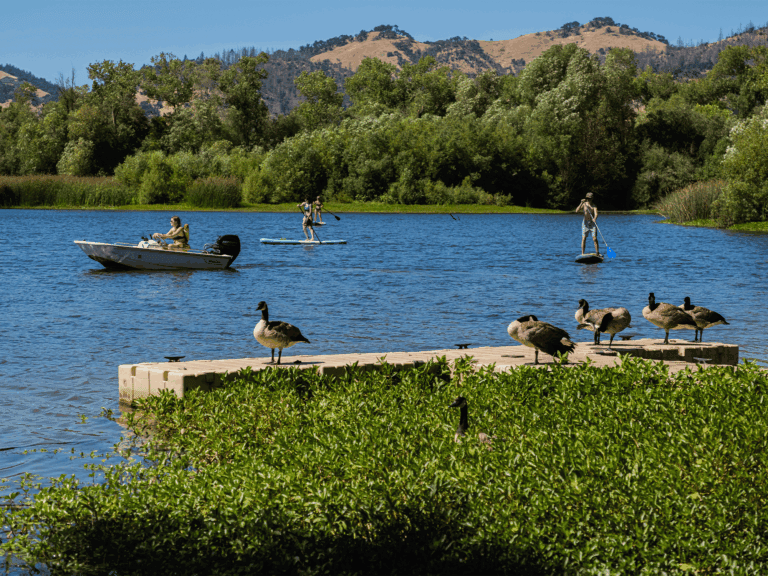people paddle boarding spring lake regional park in sonoma county