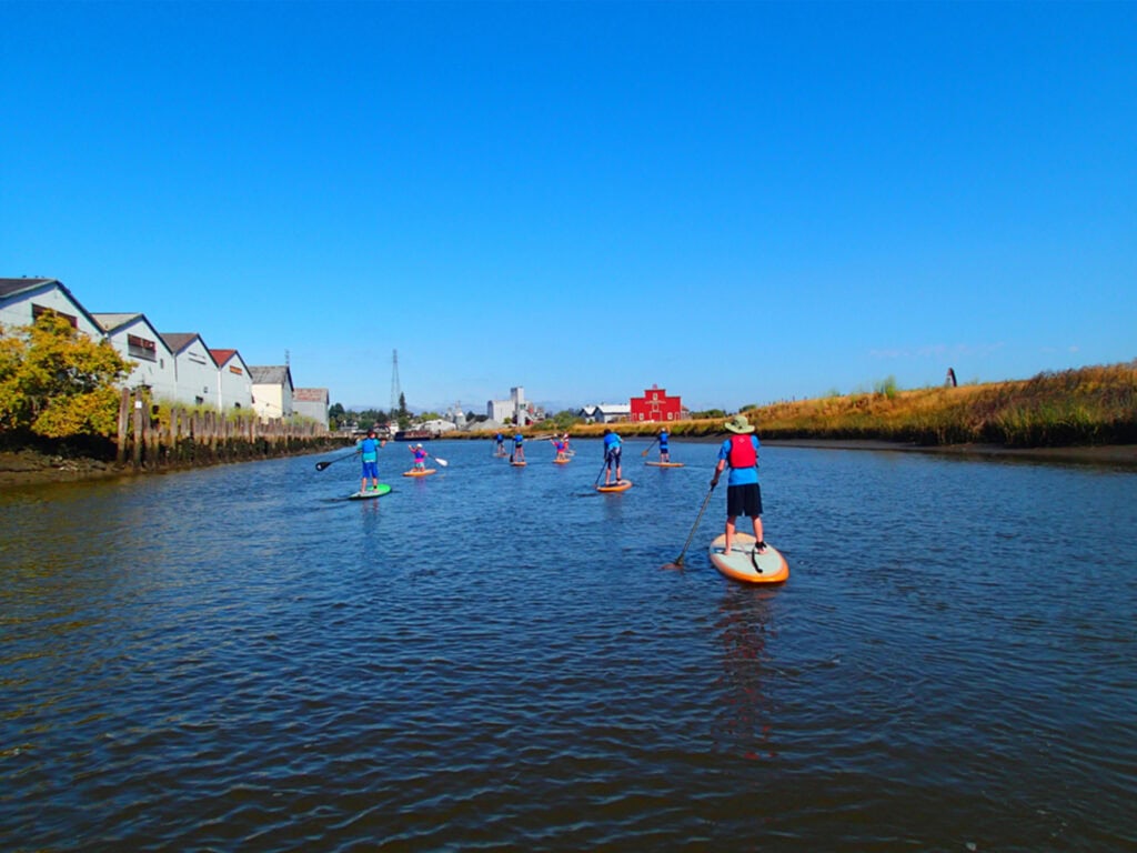 people doing stand up paddleboard in the petaluma ca river