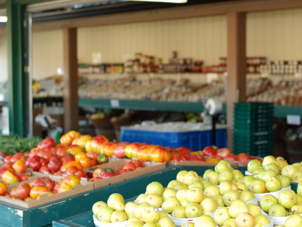 fresh vegetables from andys produce market in sebastopol
