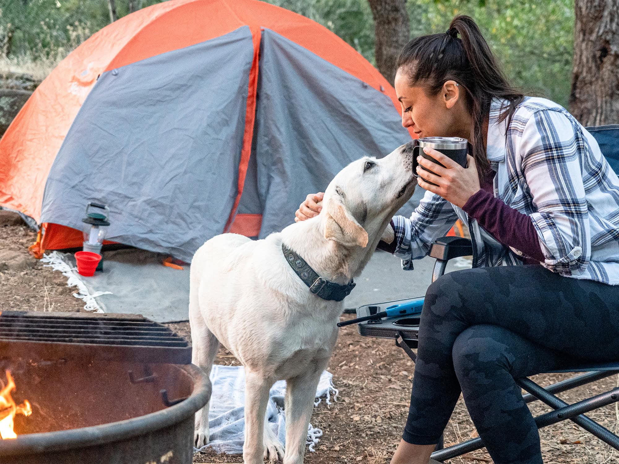 camping with your dog in sonoma county