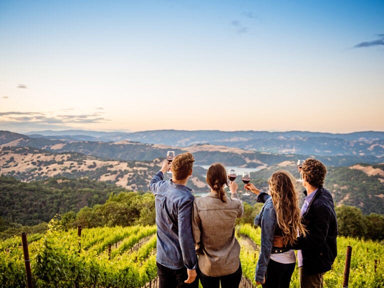 Group of people experiencing sonoma county wines in the vineyards