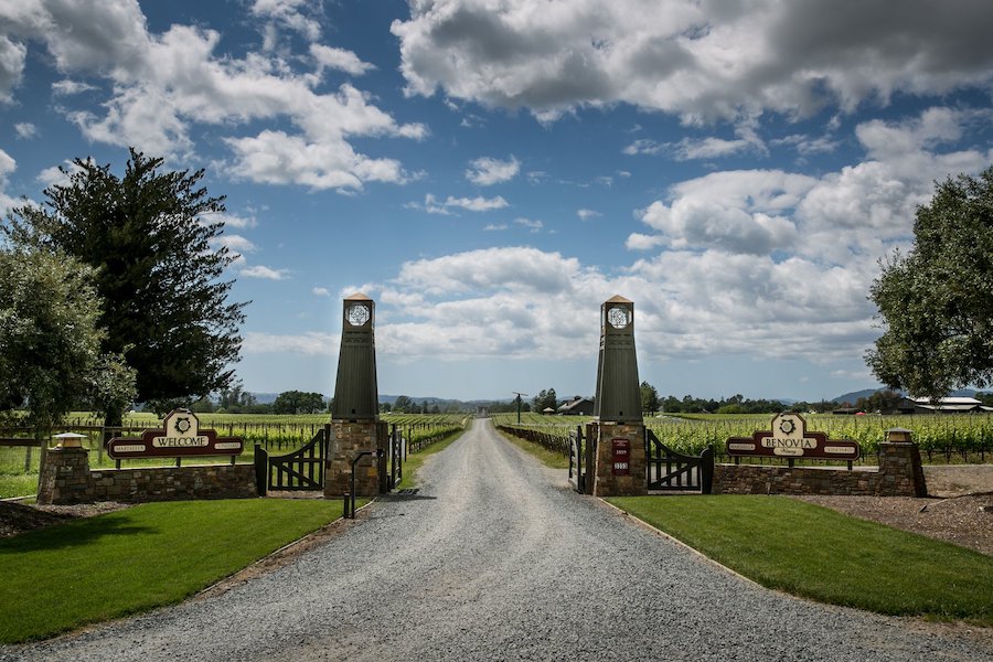 The vineyard-lined entrance to Benovia Winery 
