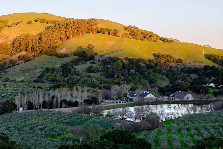 McEvoy Ranch offers tastings (and farm-made treats) on its 550-acre property 
