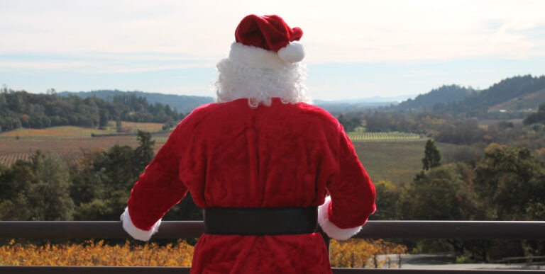 Santa Claus looks out at the vineyards in Sonoma County.