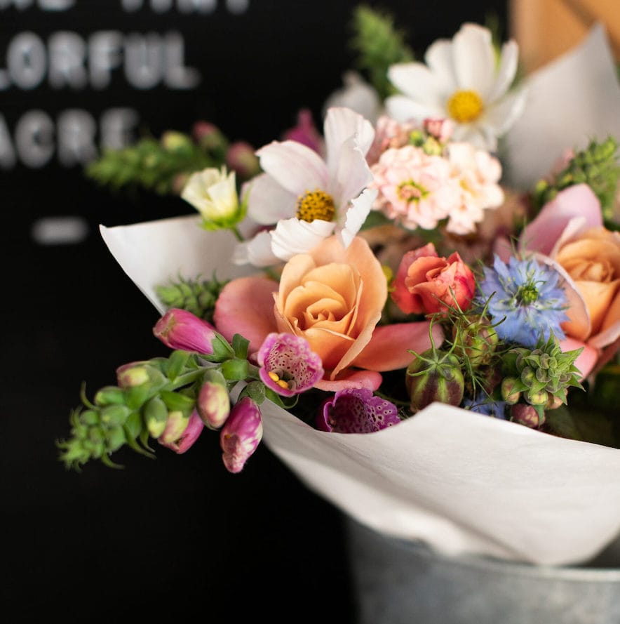 Flowers from B-Side Farm in Petaluma—Photo by Eileen Roche