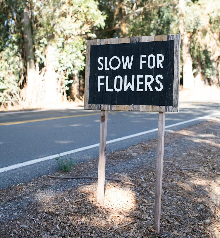 At B-Side Farm in Petaluma—Photo by Eileen Roche