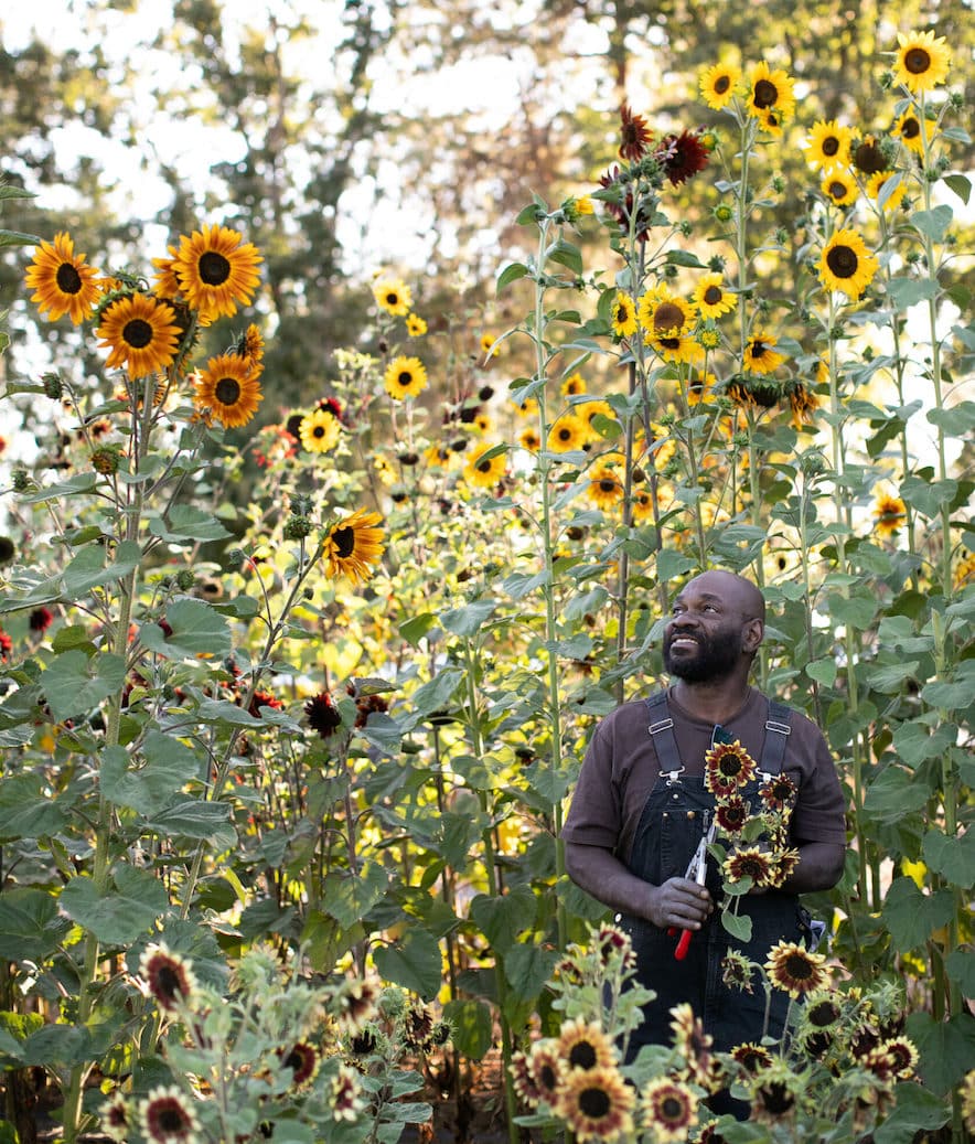 Dale Smith amongst his sunflowers at Zannah Farms in Santa Rosa—Photo by Eileen Roche