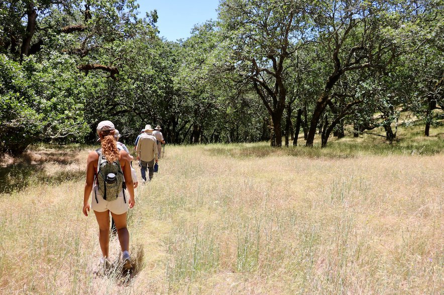 Join one of many outdoor or volunteer events with LandPaths