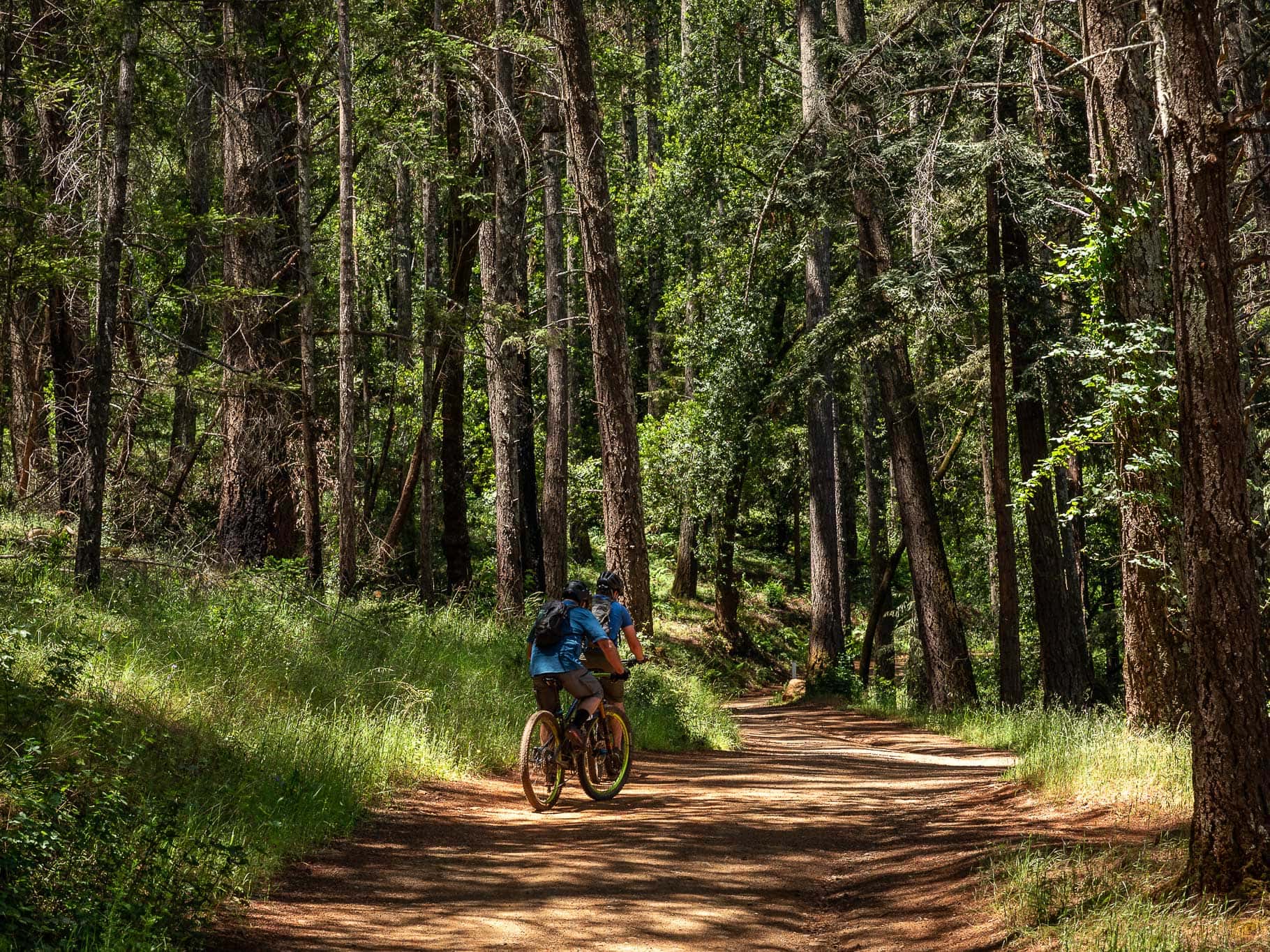 Bikers enjoy the scenery in Trione-Annadel State Park, which has 40 miles of multi-use trails open to bikers.