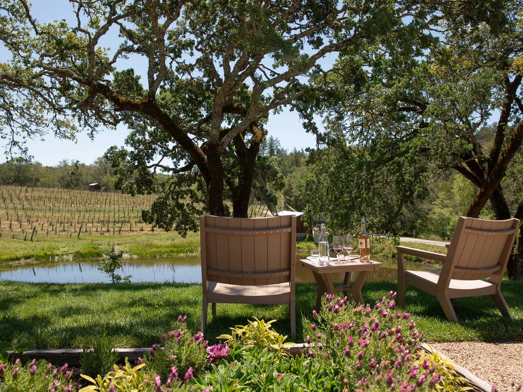 Medlock Ames is just one of Sonoma County’s many eco-friendly wineries.