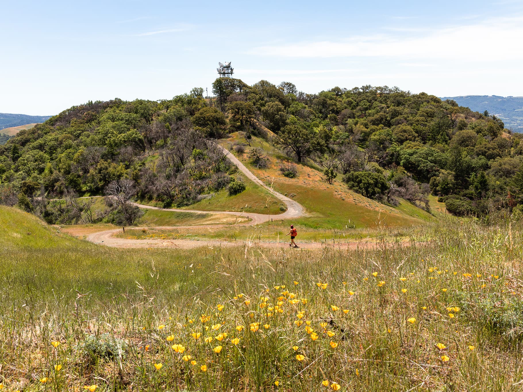 Bald Mountain in Sugarloaf Ridge State Park