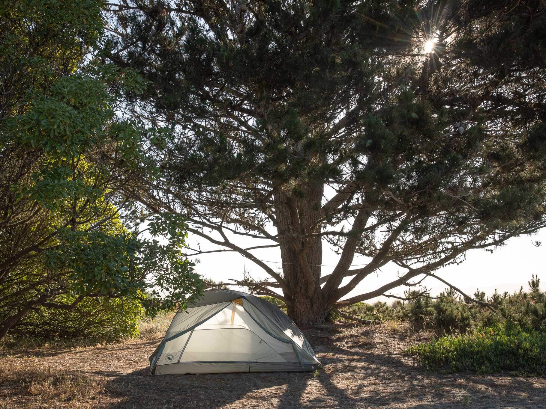 Views at the tent-only Miwok Campground at Doran Regional Park.