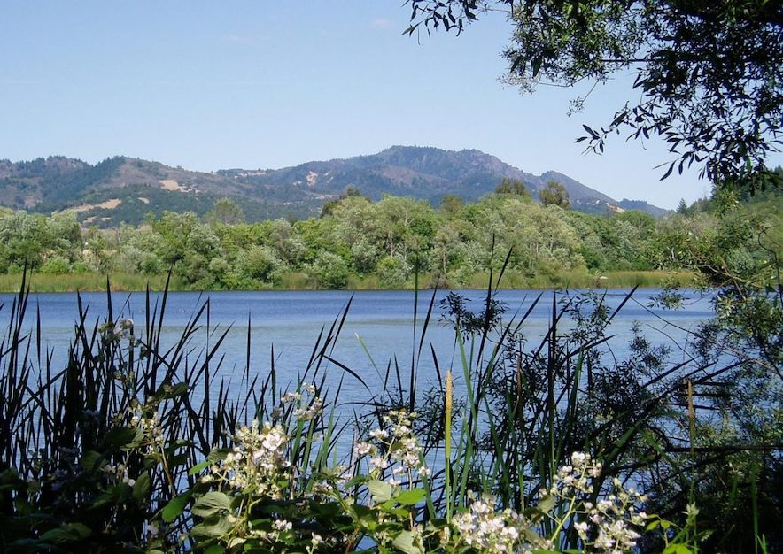 Learn more about Spring Lake at the Environment Discovery Center 