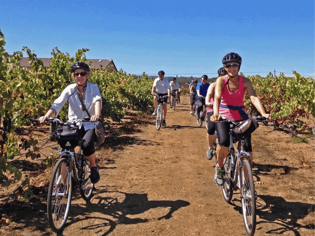 Bike tour riding through the sonoma county vineyards