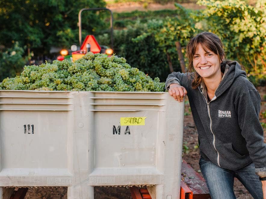 alice sutro standing next to harvest of grapes in vineyards