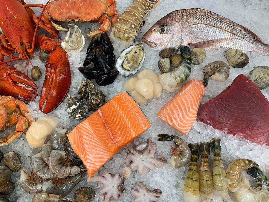 A wide array of seafood on ice