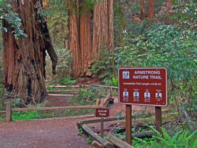 hiking trail at armstrong redwoods state park in sonoma county