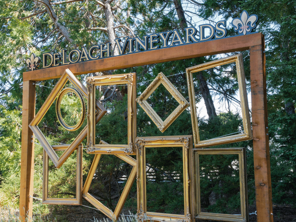 sculpture of a bunch of photo frames at deloach vineyards in santa rosa sonoma county