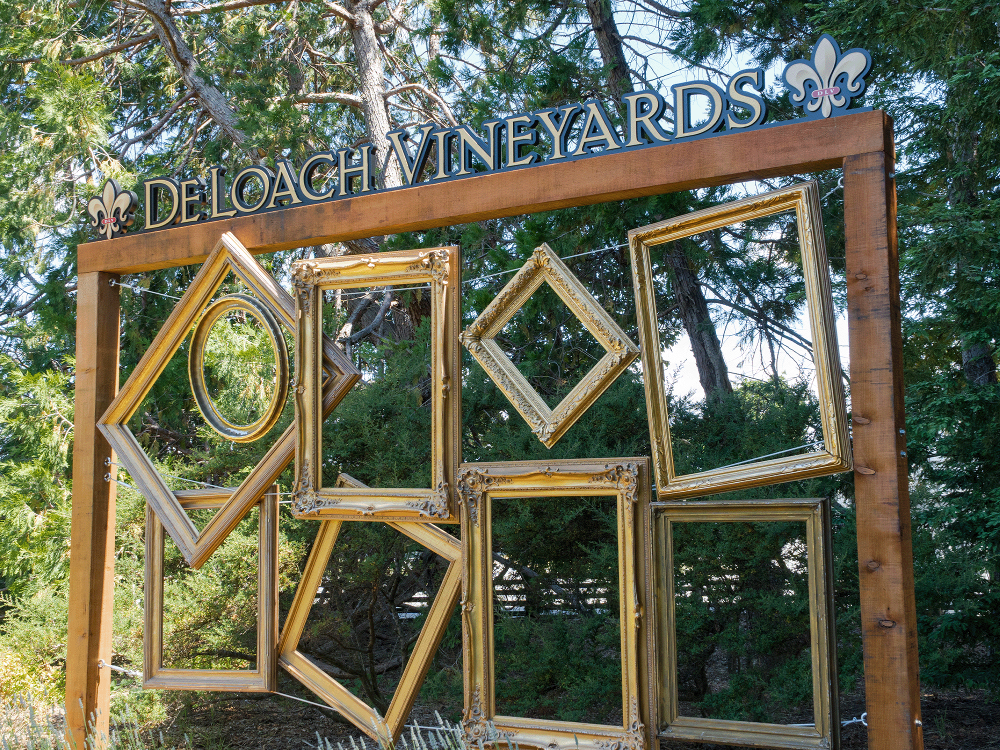 DeLoach Vineyards
