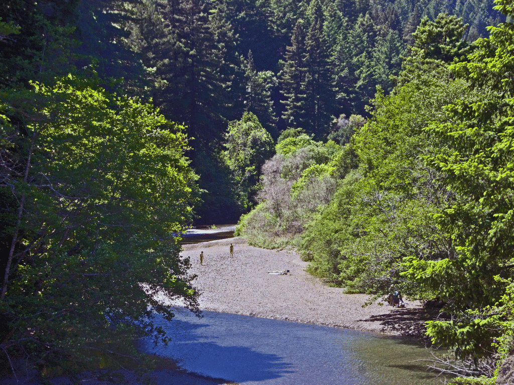 river running along the beach at austin creek state park in sonoma county