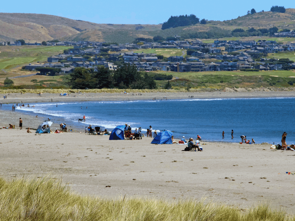 beach goers at dora regional park sonoma county coast
