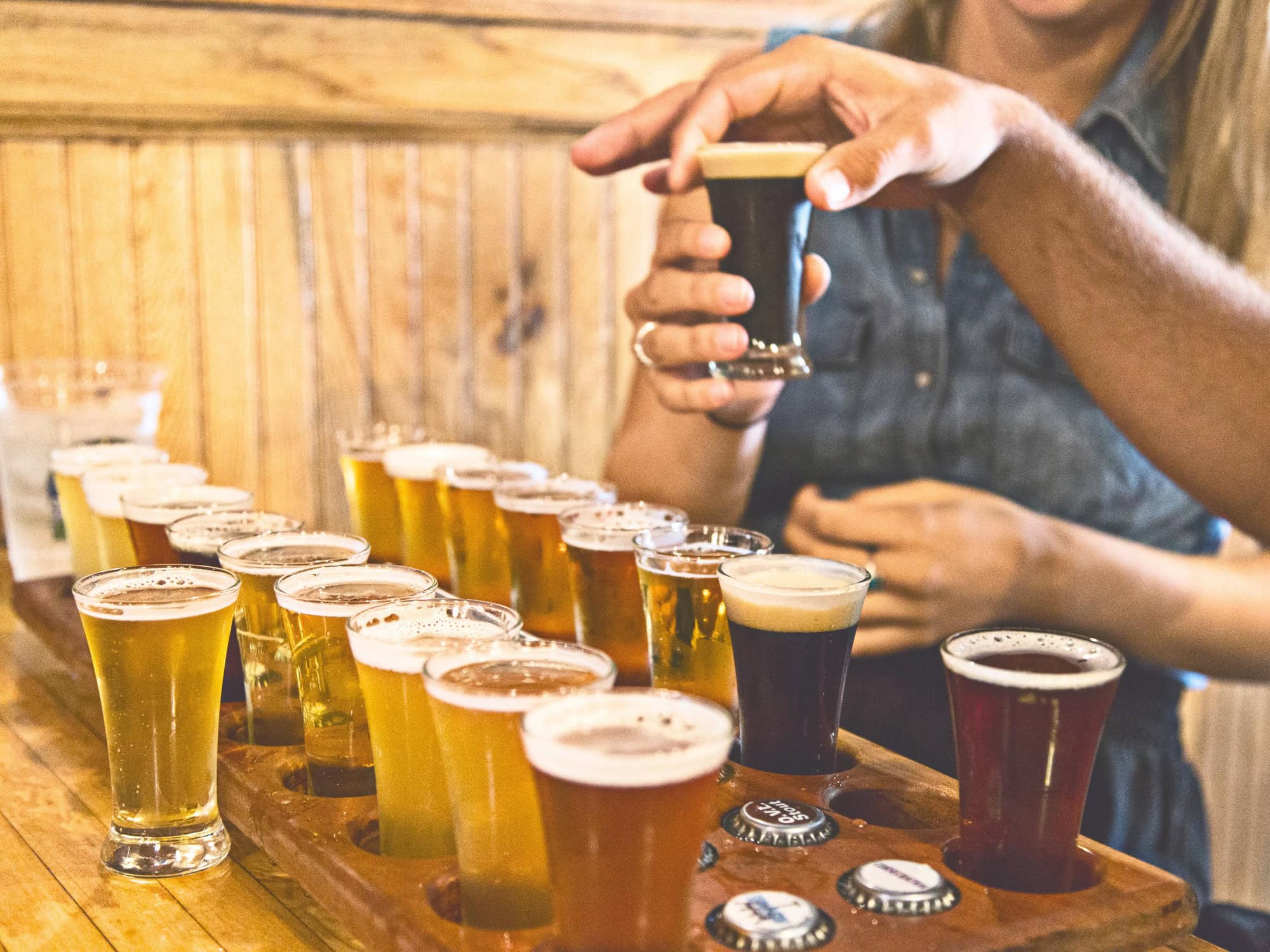 Many small beer glasses lined up in a row for a sample tasting in Sonoma County