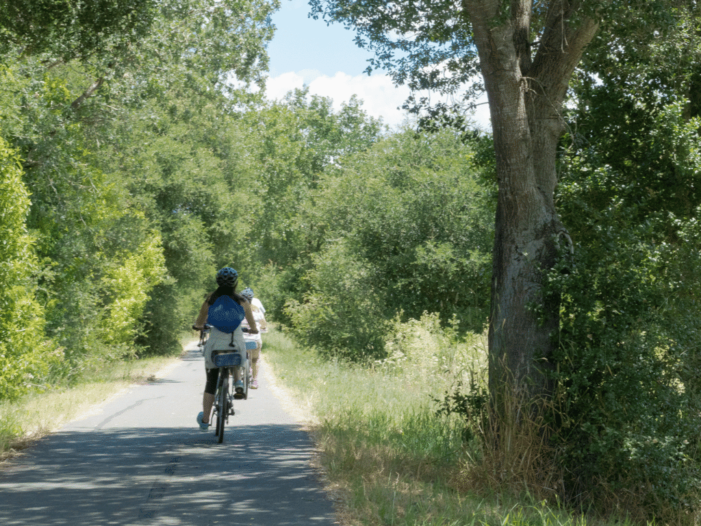 biking tour at santa rosa creek trail in sonoma county with ace it bike tours