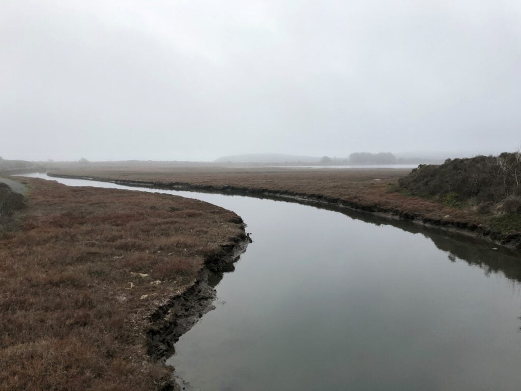 scenic view of bird walk coastal access trail in bodega bay