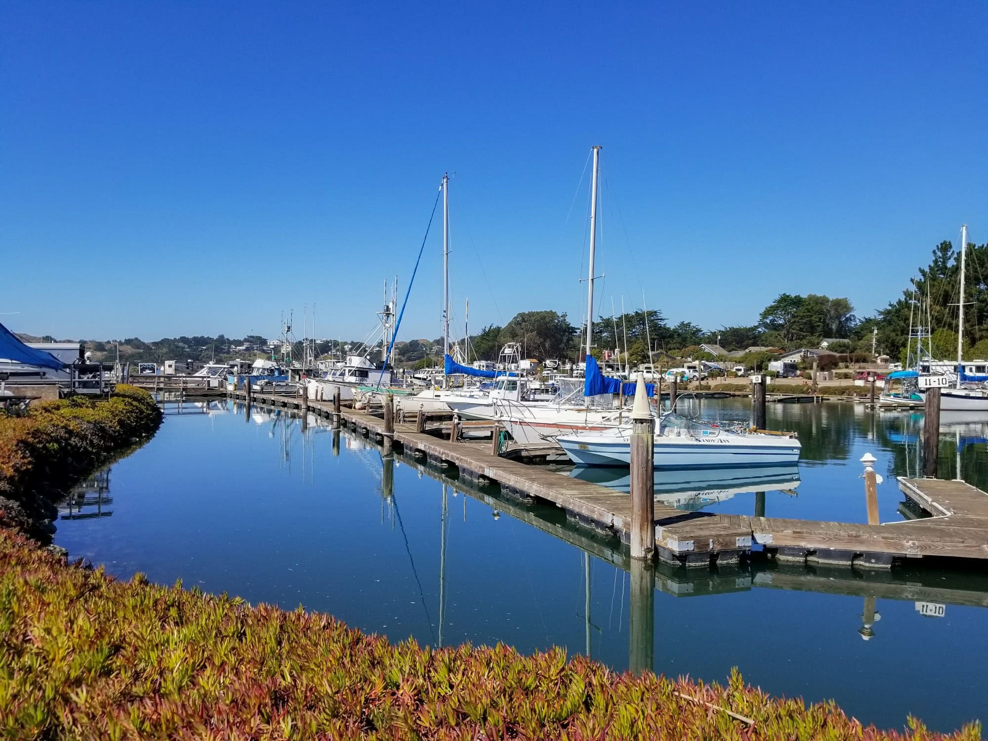 Boats in the marina on a sunny day