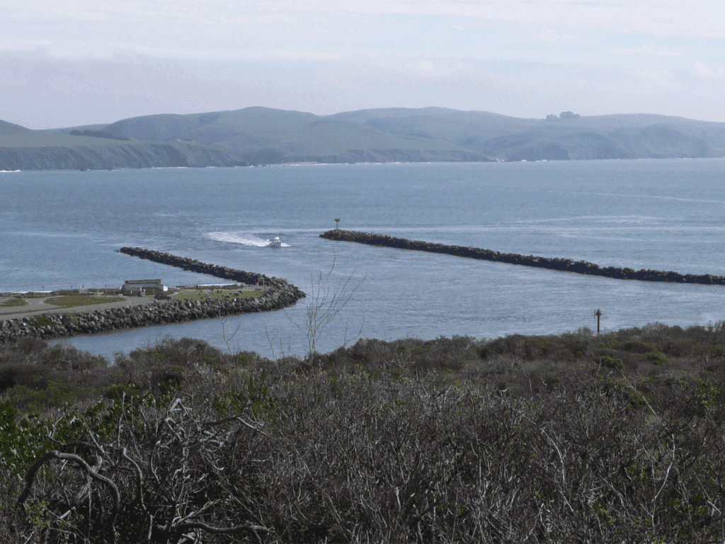 boat coming into the harbor at doran regional park in sonoma county