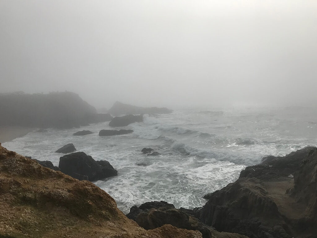 foggy coast view at bodega head
