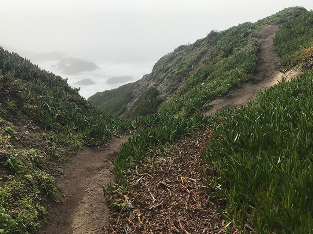 hiking trail at bodega head coast line