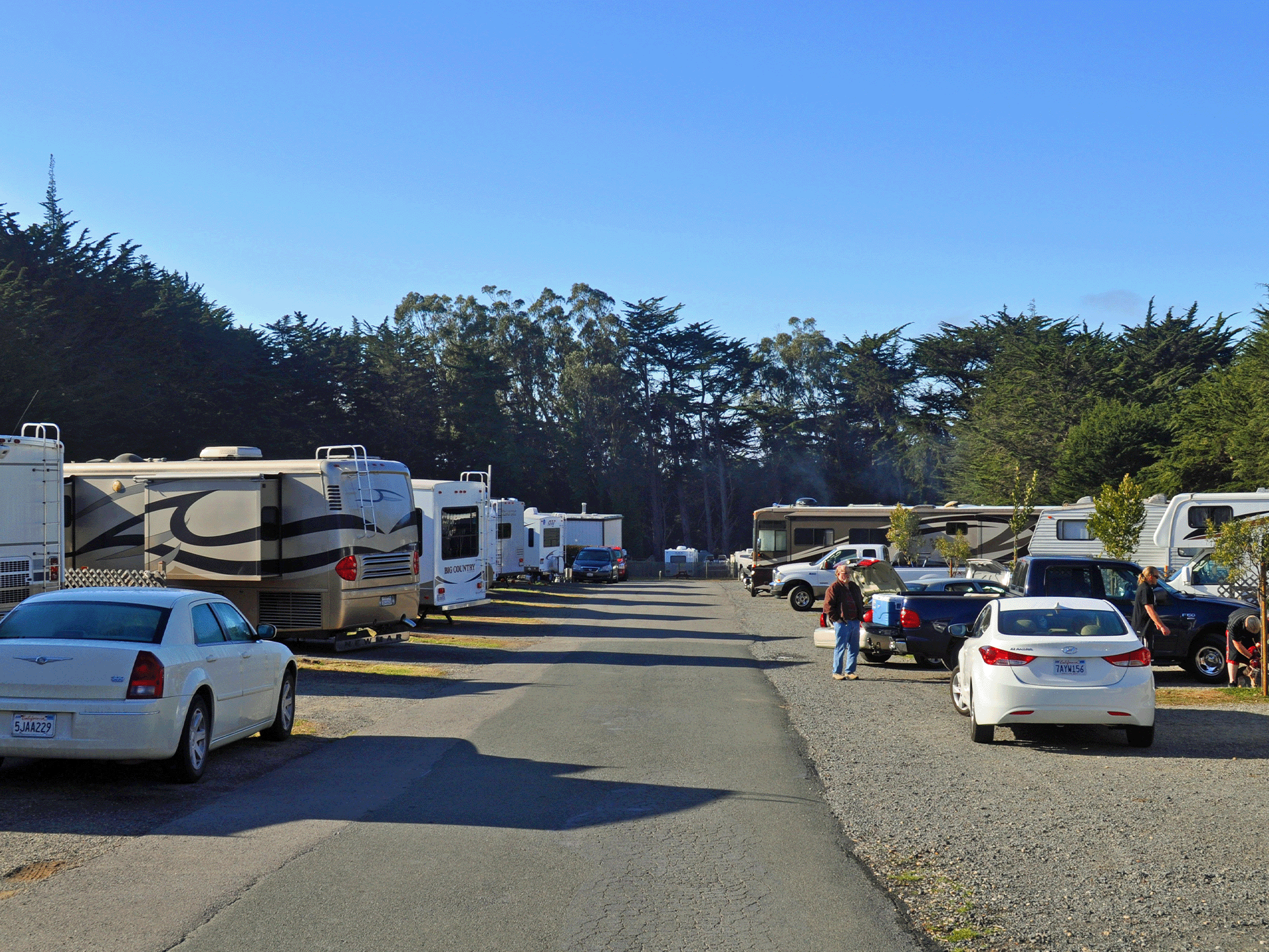 Cars and RVs lined up at the park