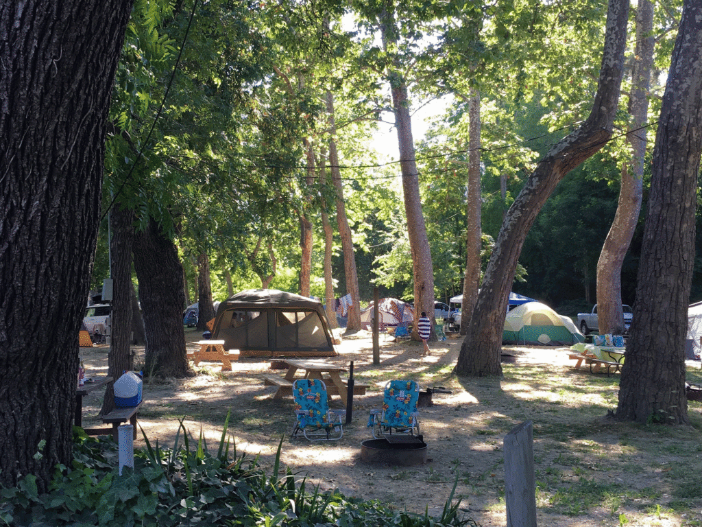 tent camping at johnson beach campgrounds in guerneville sonoma county