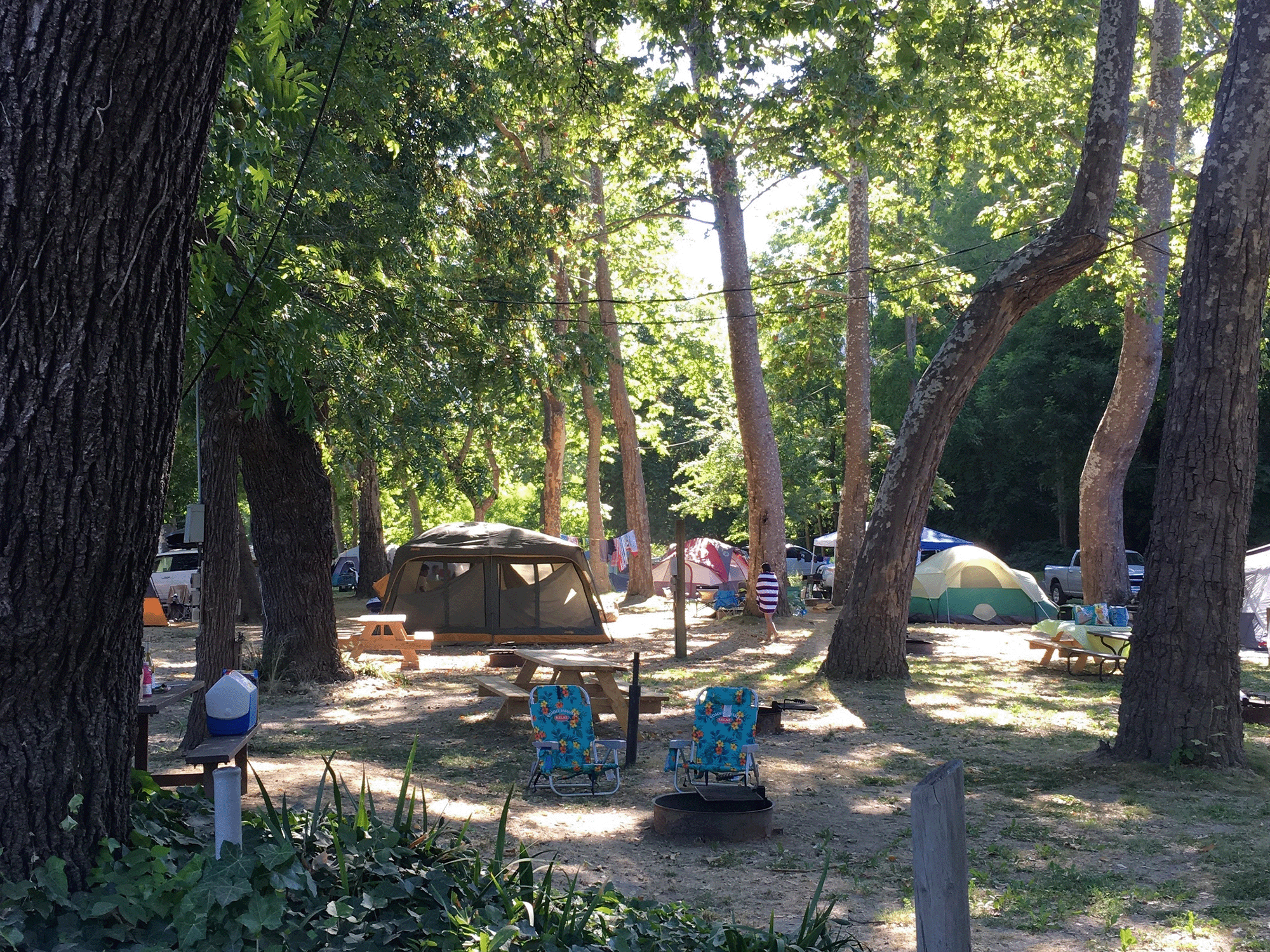 Tents are set up under the shade of trees at Johnson's Beach, Sonoma County