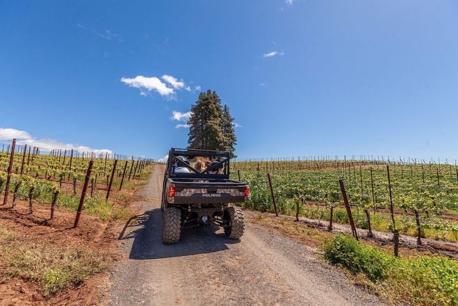 You can take an ATV tour through the vineyards at Chenoweth Wines - Photo by Loren Hansen Photography