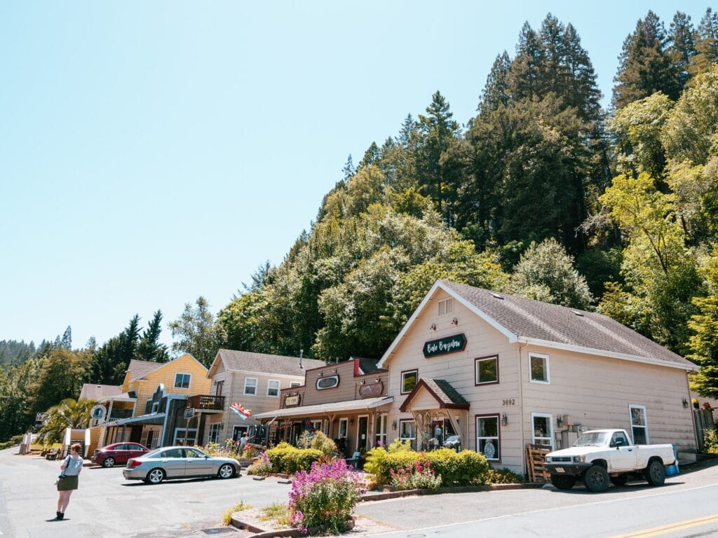 main street business occidental ca
