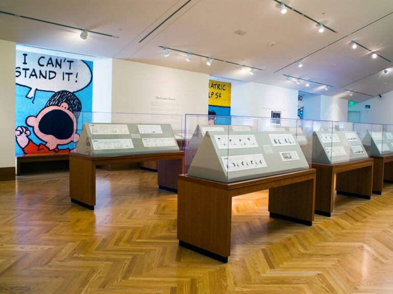 peanut comic strips on display at the Charles Schulz Museum