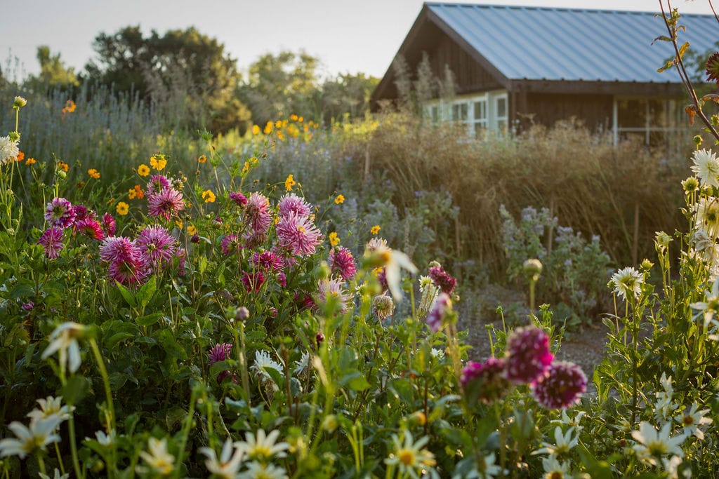 DaVero Farms and Winery, Healdsburg