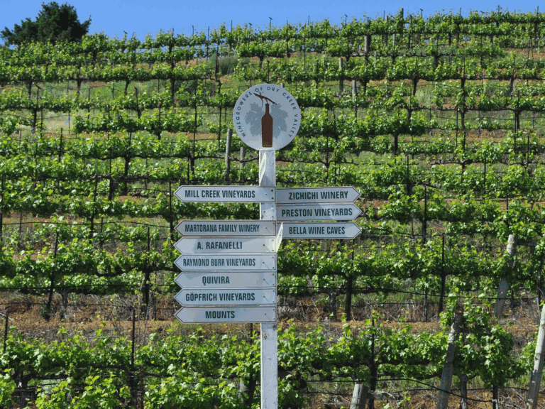 dry creek ava winery sign points to the direction of they wineries in sonoma county