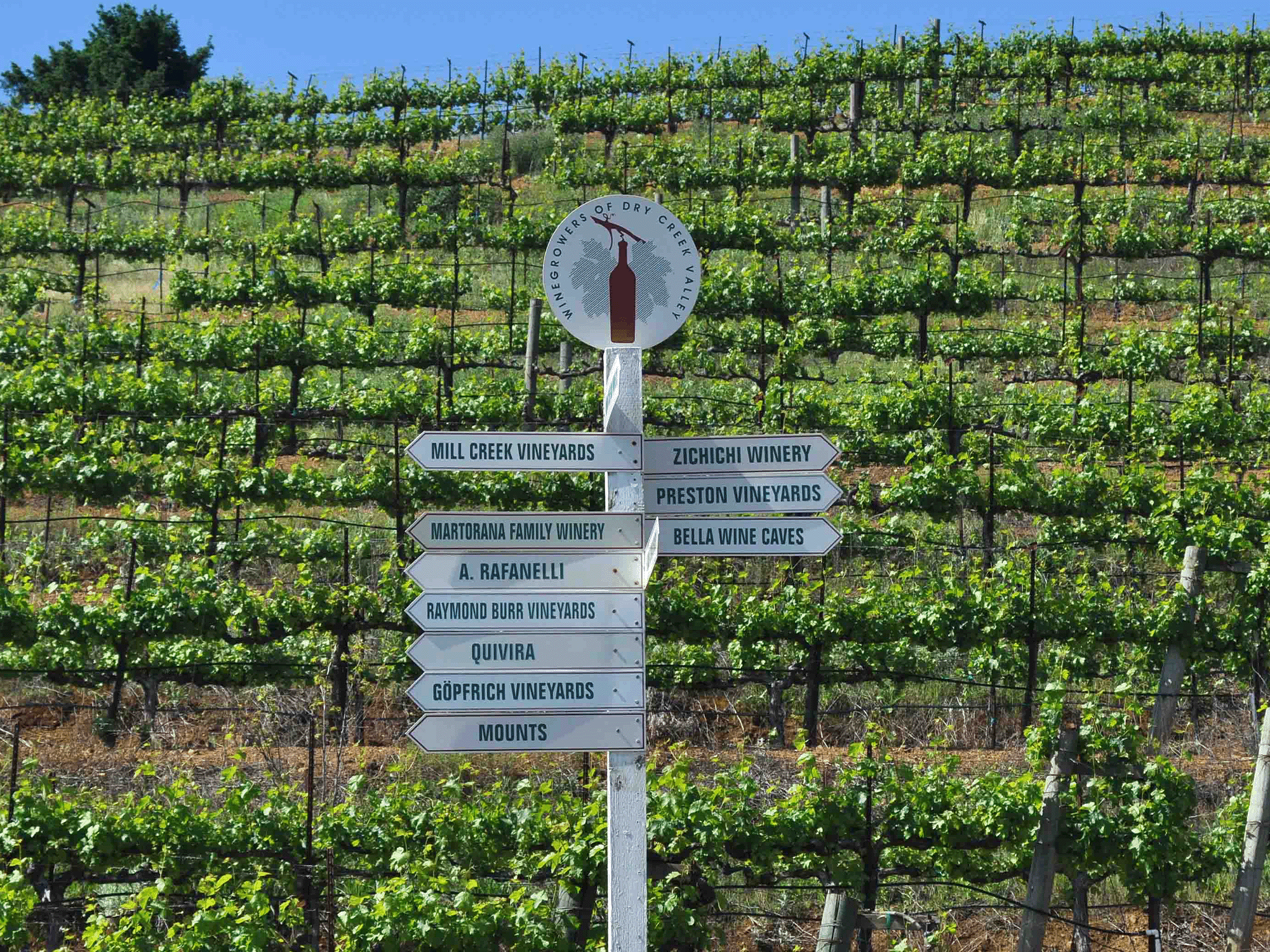 dry creek ava winery sign points to the direction of they wineries in sonoma county