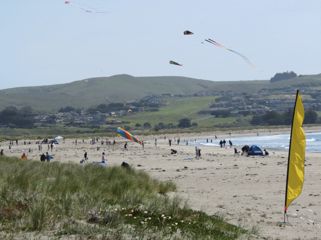 a bunch of beach goers enjoying doran beach and flying kites in sonoma county