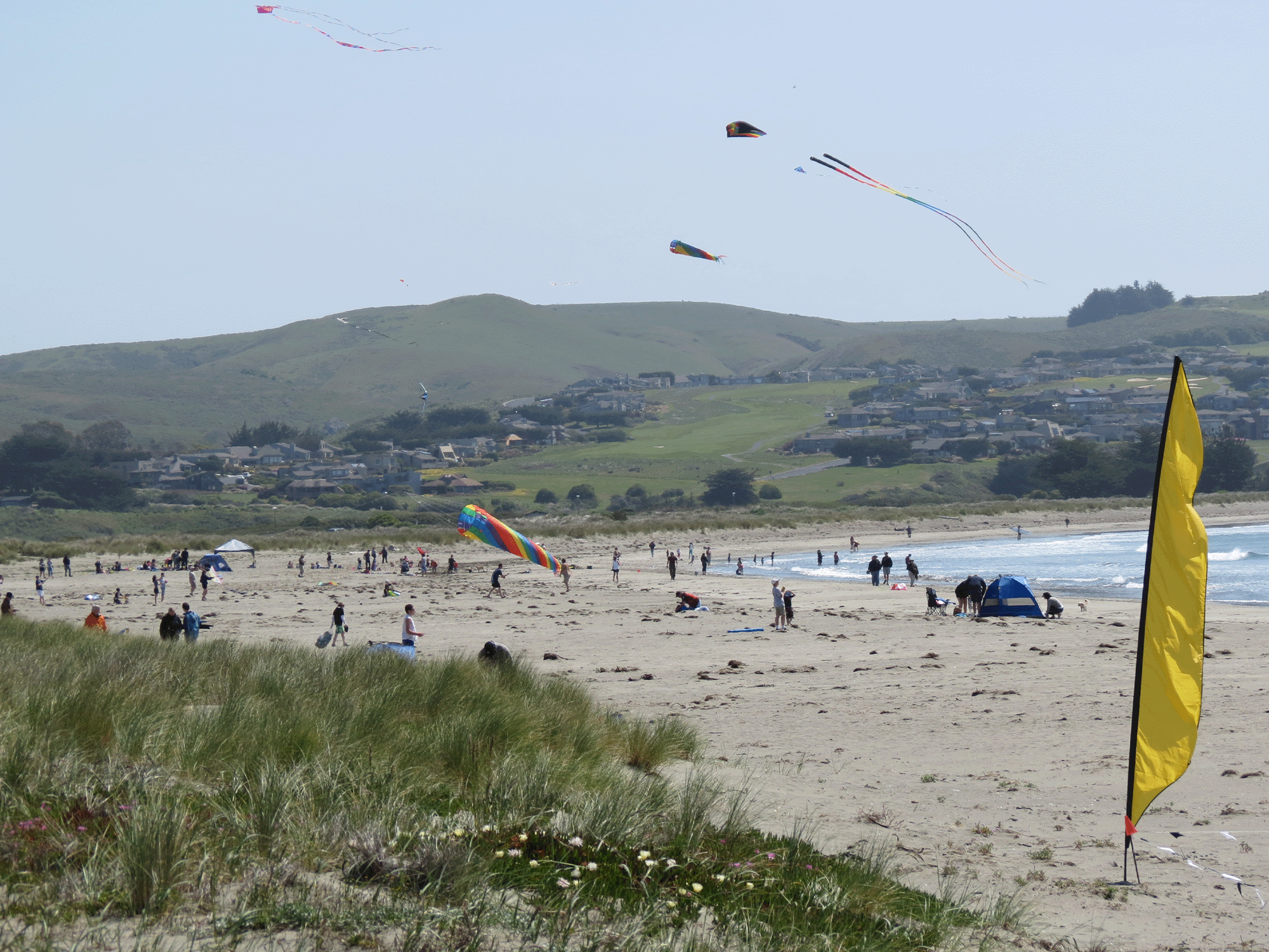 Doran Beach at Doran Regional Park in Bodega Bay