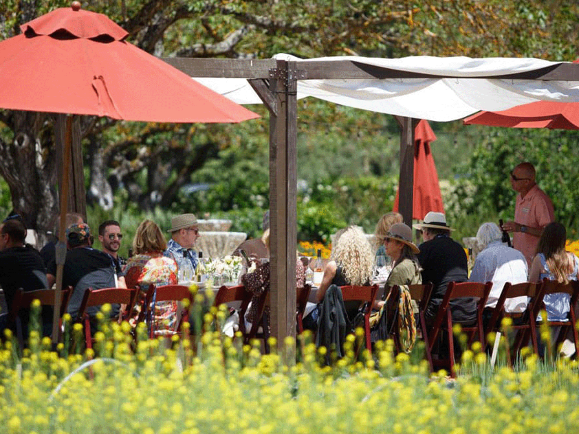 Healdsburg Wine and Food Experience