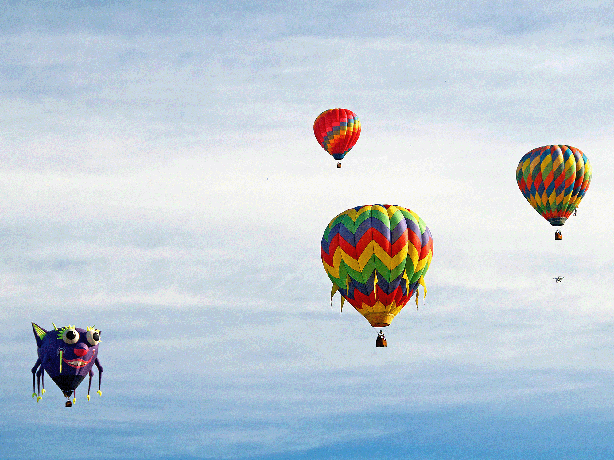 Hot air balloons soaring above Sonoma County