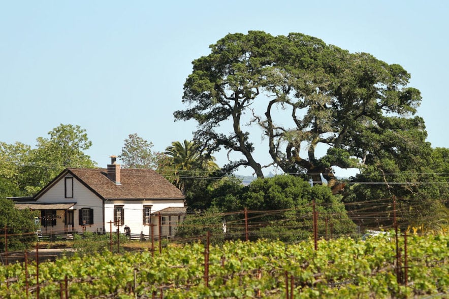 Jack London State Historic Park in Glen Ellen