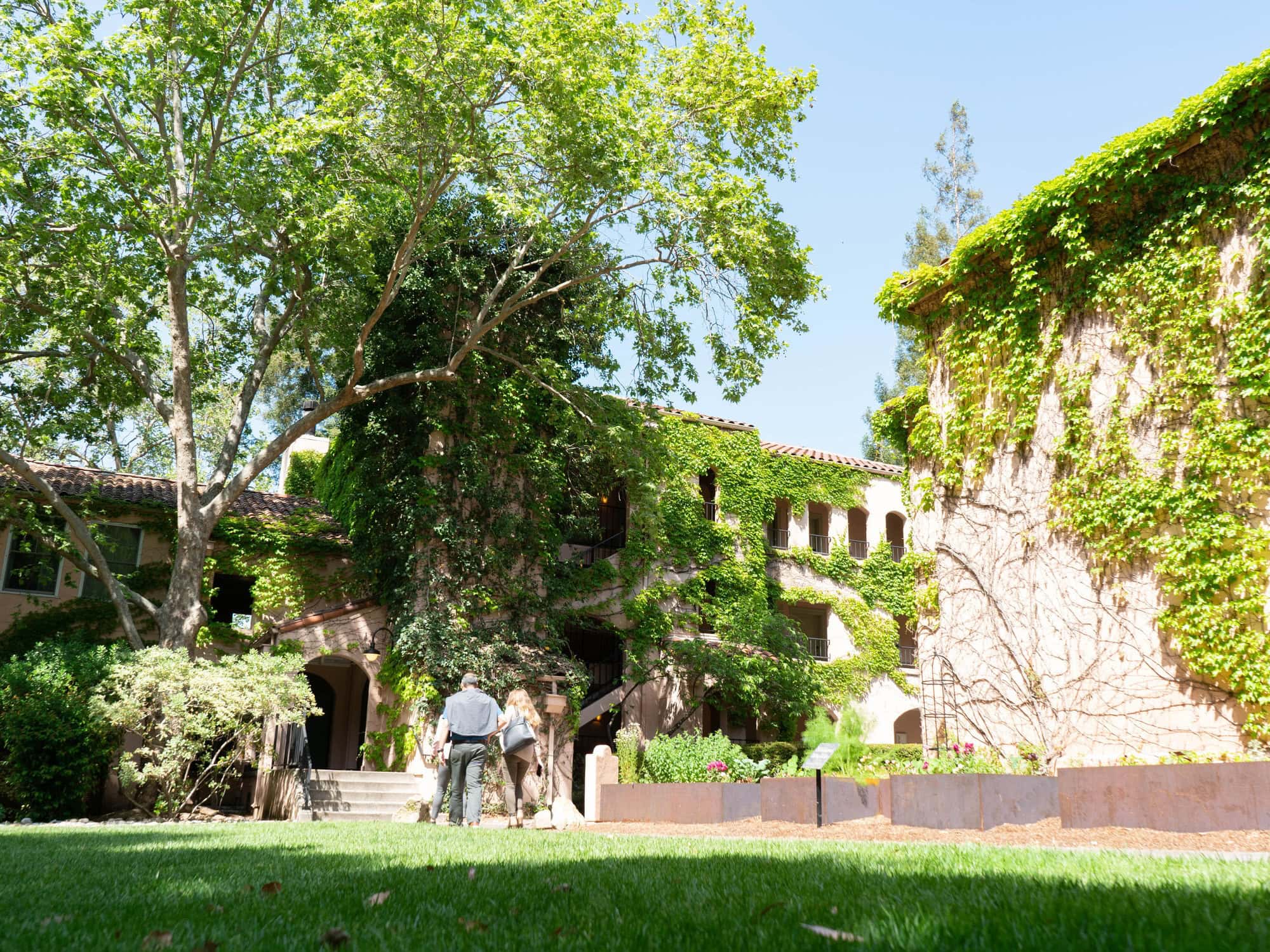 A couple walks under the shade of a large tree by the ivy-covered Fairmont Sonoma Mission Inn & Spa in Sonoma County