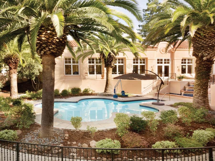 The pool is surrounded by palm trees