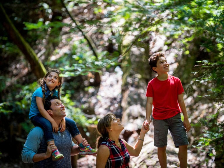 Family Hiking Through Armstrong State Natural Reserve in Guerneville